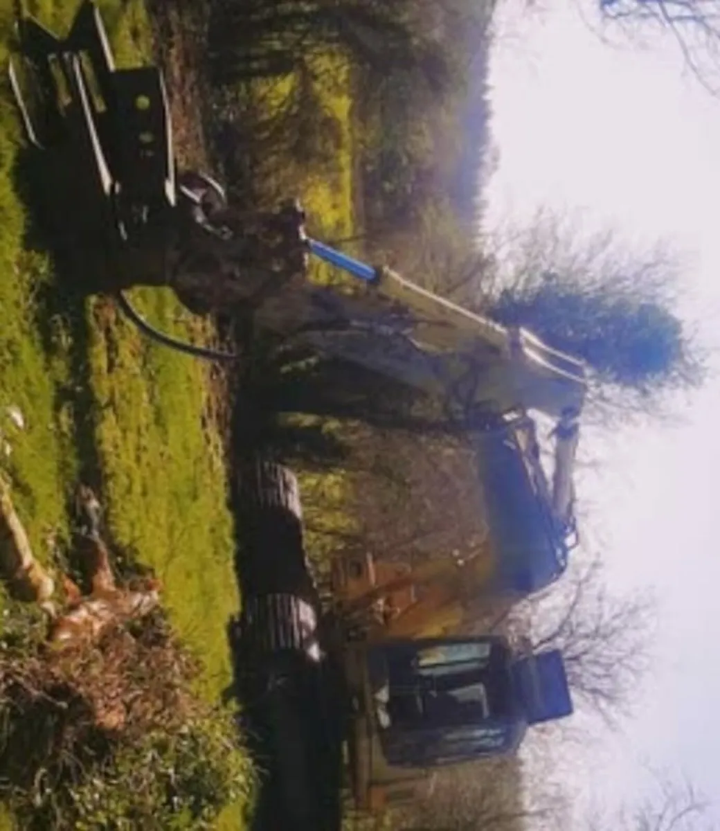 Digger Services - Mulching and Tree Shearing - Image 3