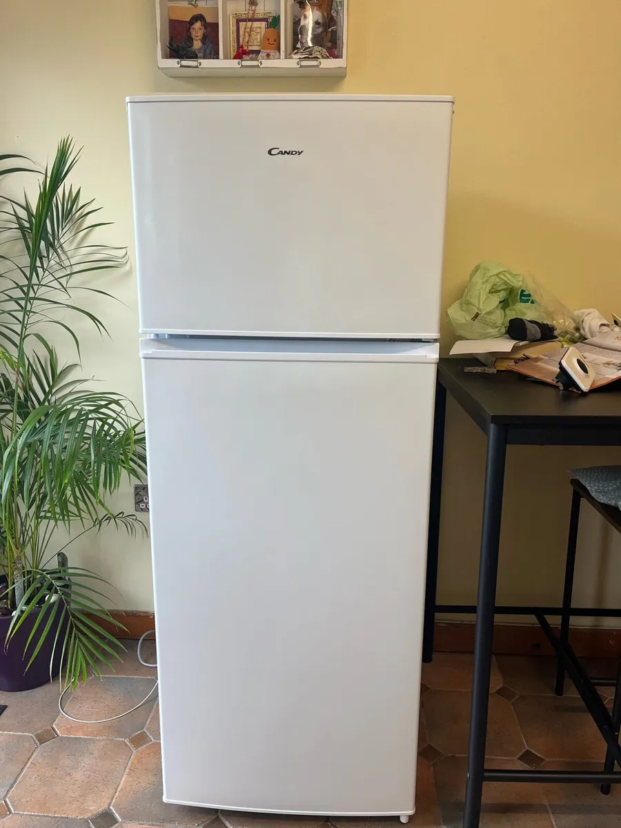 Fridge Freezer - Image 1