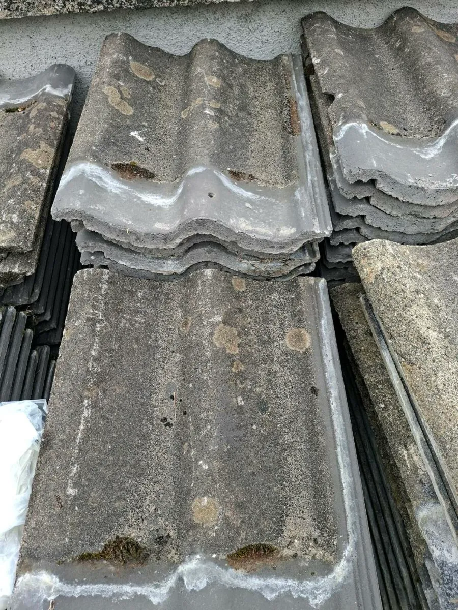 Roof tiles - Image 2