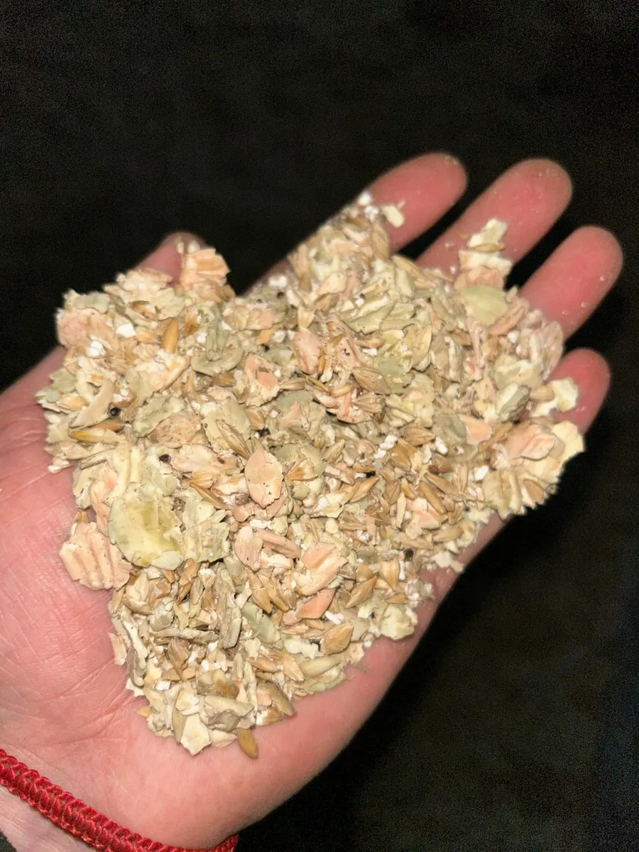 Pea/Barley/Oat Combi Feed - Image 4