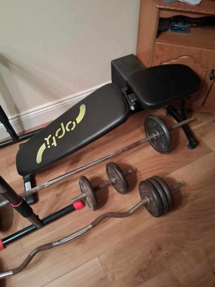 Weights - Image 4
