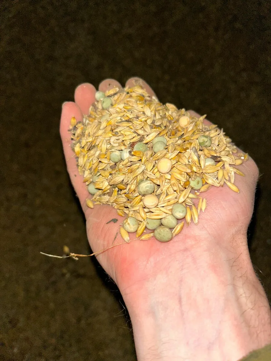 Pea/Barley/Oat Combi Feed - Image 3
