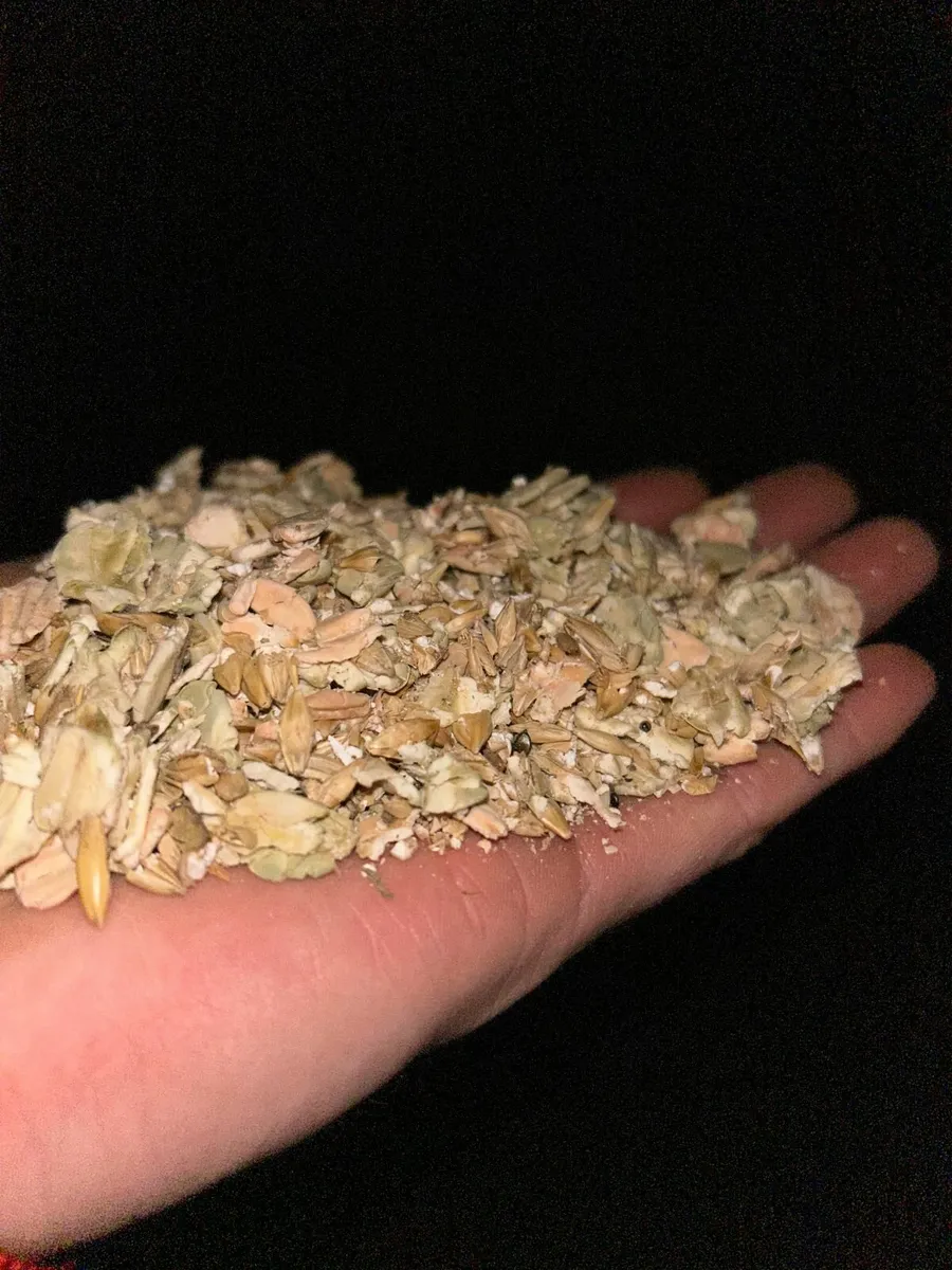 Pea/Barley/Oat Combi Feed - Image 1