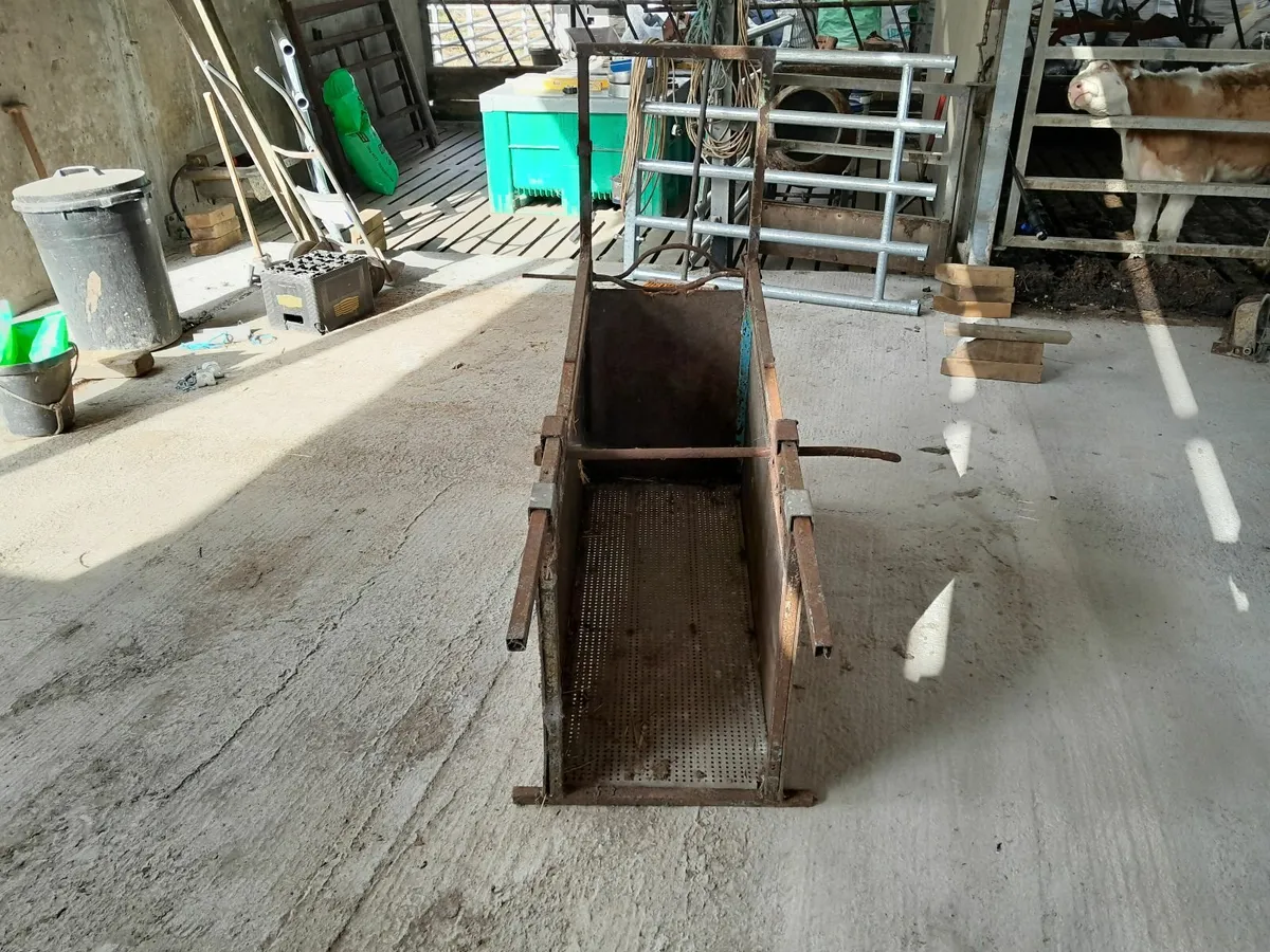 Calf Dehorning Crush - Image 3