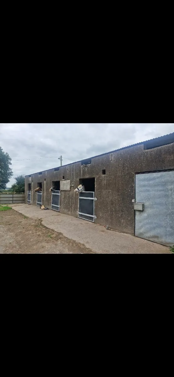 Equine Livery - Image 1
