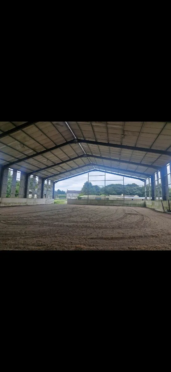 Equine Livery - Image 3