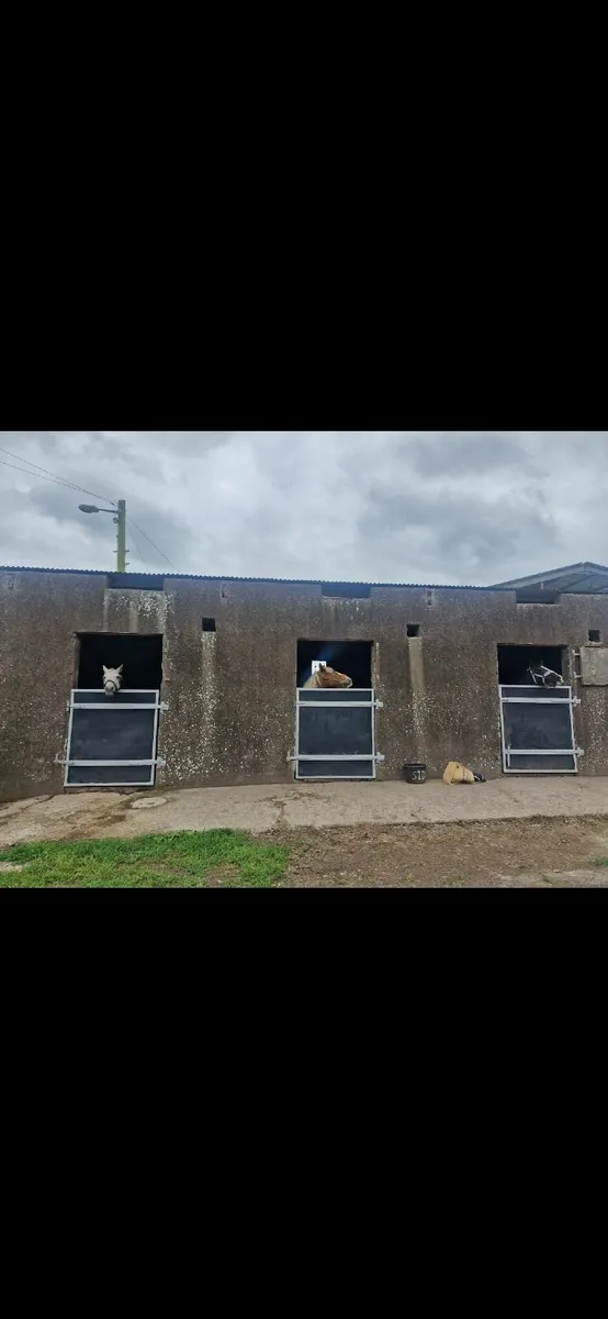 Equine Livery - Image 4