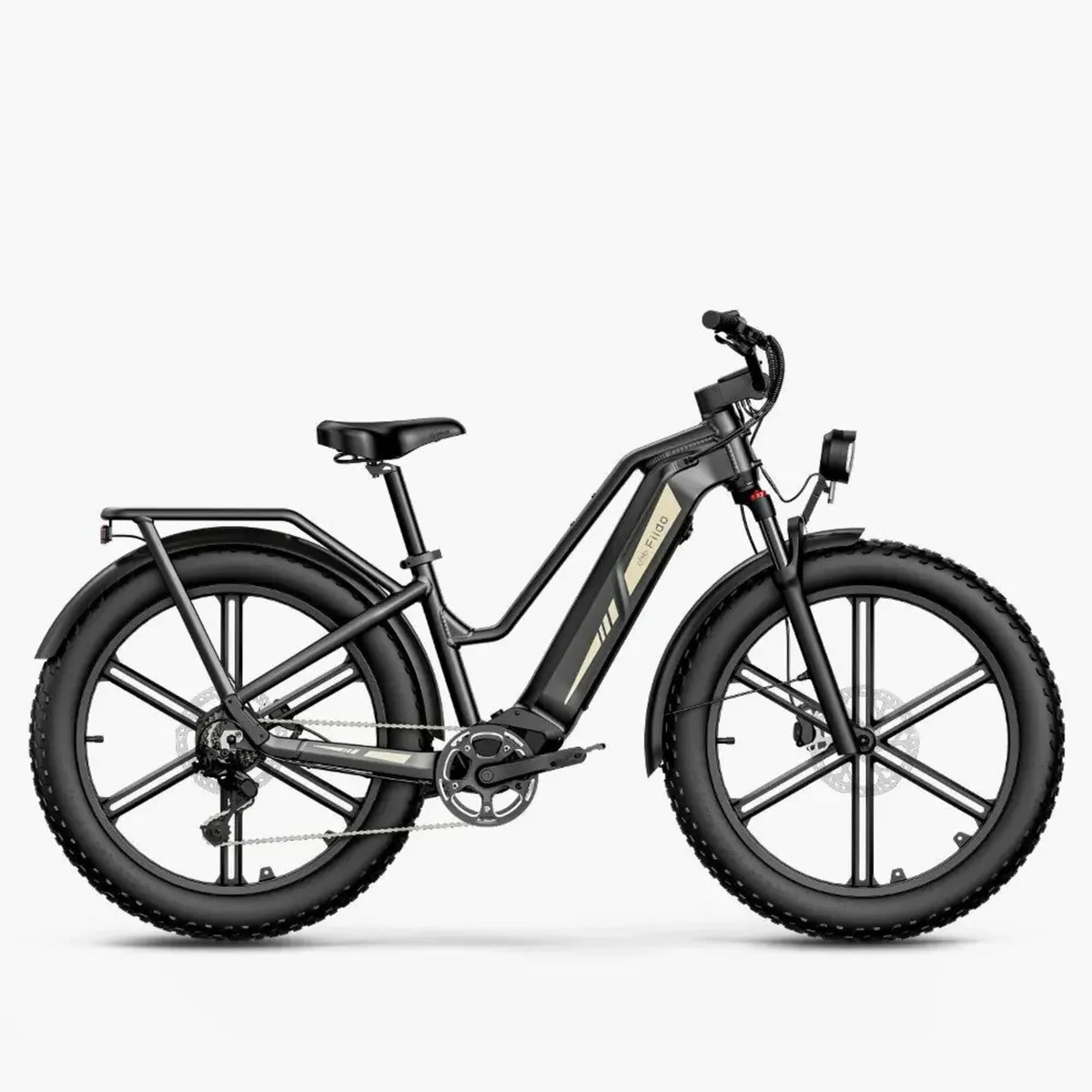 FIIDO TITAN CARGO Fat Tire Touring Electric Bike