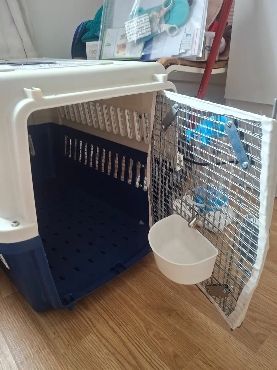IATA Approved pet crate - Image 2