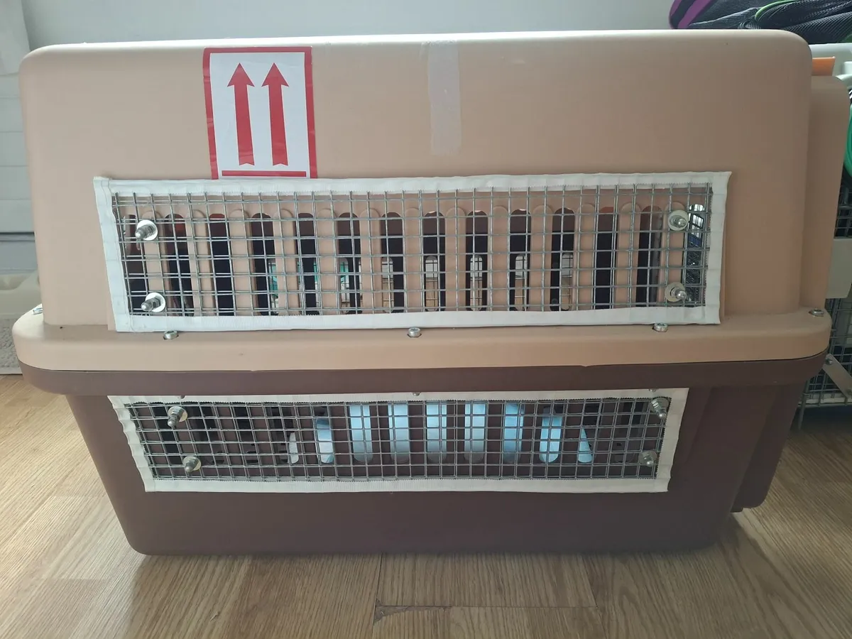 IATA Approved pet crate - Image 3