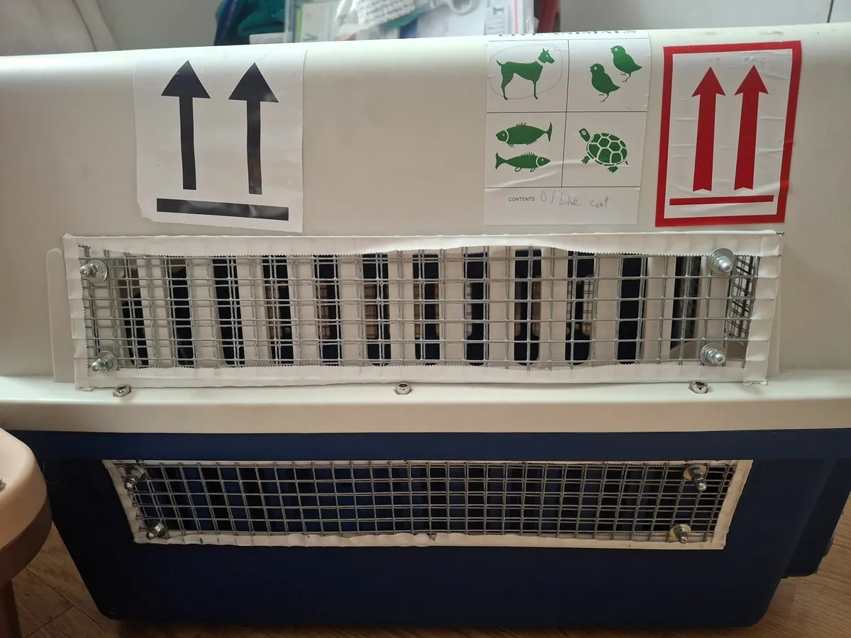 IATA Approved pet crate - Image 4