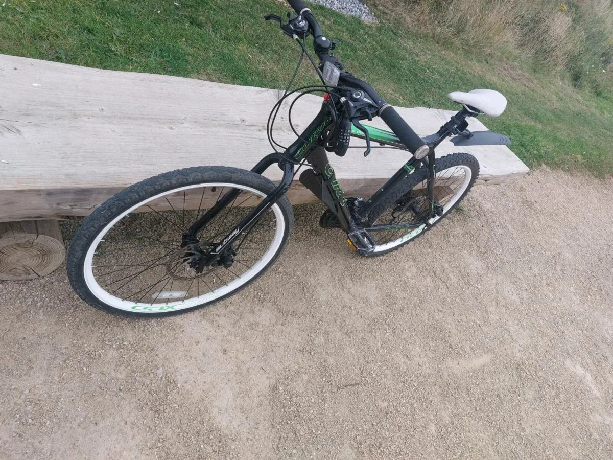 Bike - Image 2