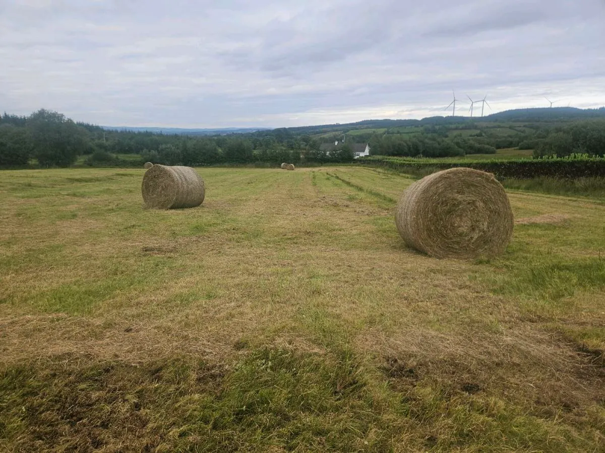 Bales of Rushes and Grass - Image 2