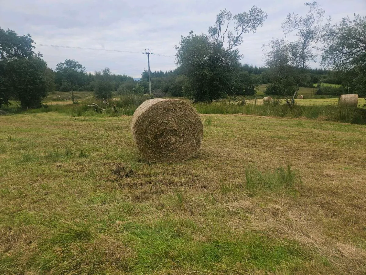 Bales of Rushes and Grass - Image 4