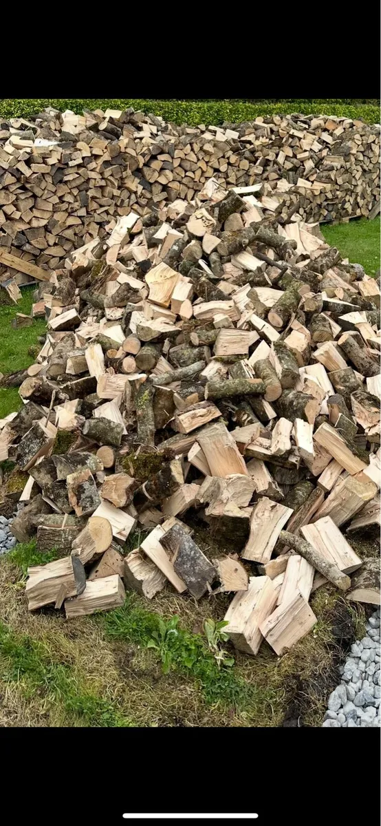 Firewood - Image 1