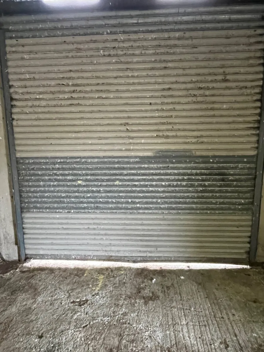Electric Roller Door - Image 3
