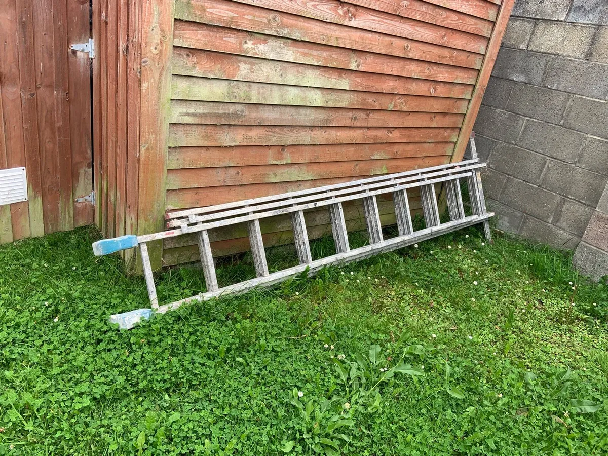 Aluminium extendable ladder 6 metres