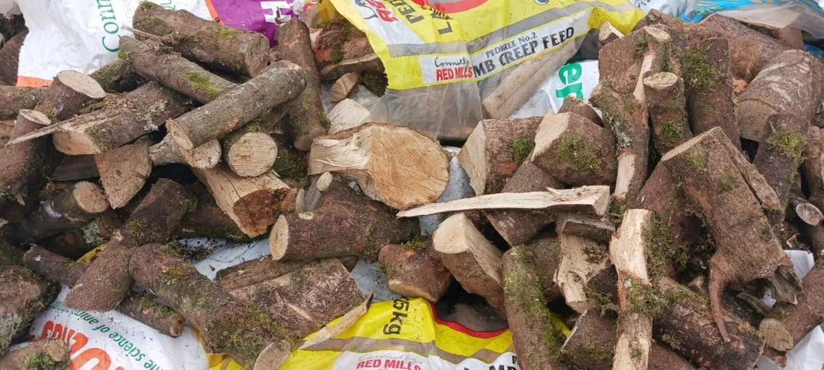 Firewood , bags of hardwood - Image 2