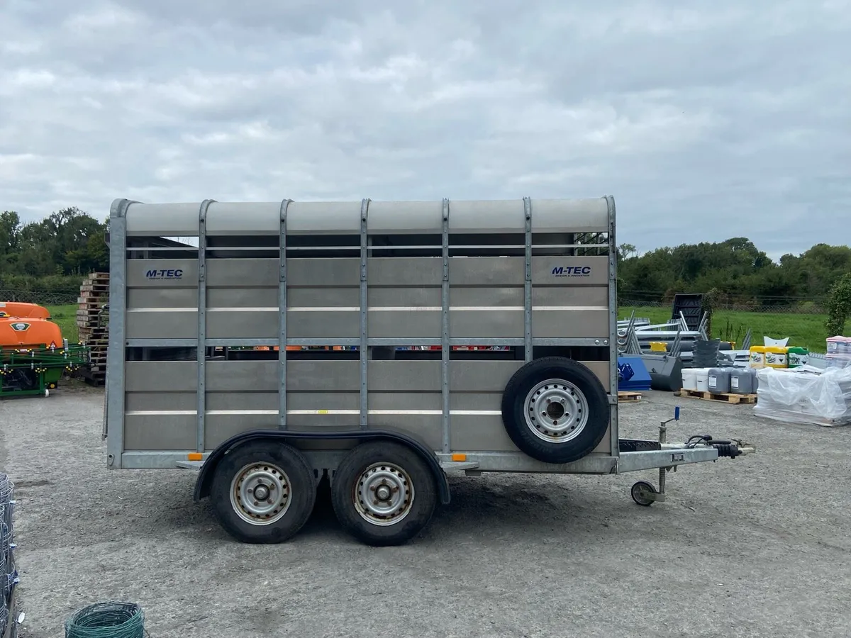 M tec 12ft cattle trailer - Image 2