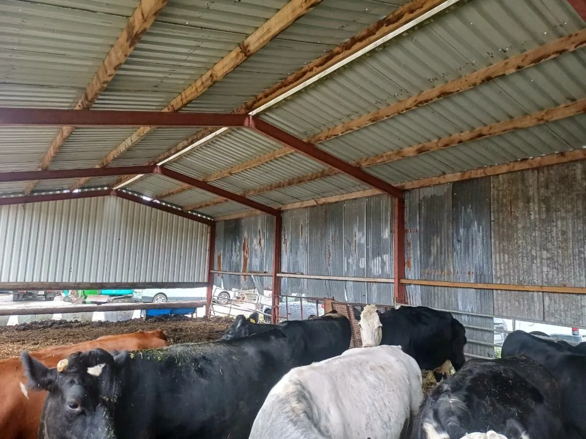 STEEL FOR SHED 47X25 13 FEET HIGH A FRAME - Image 3