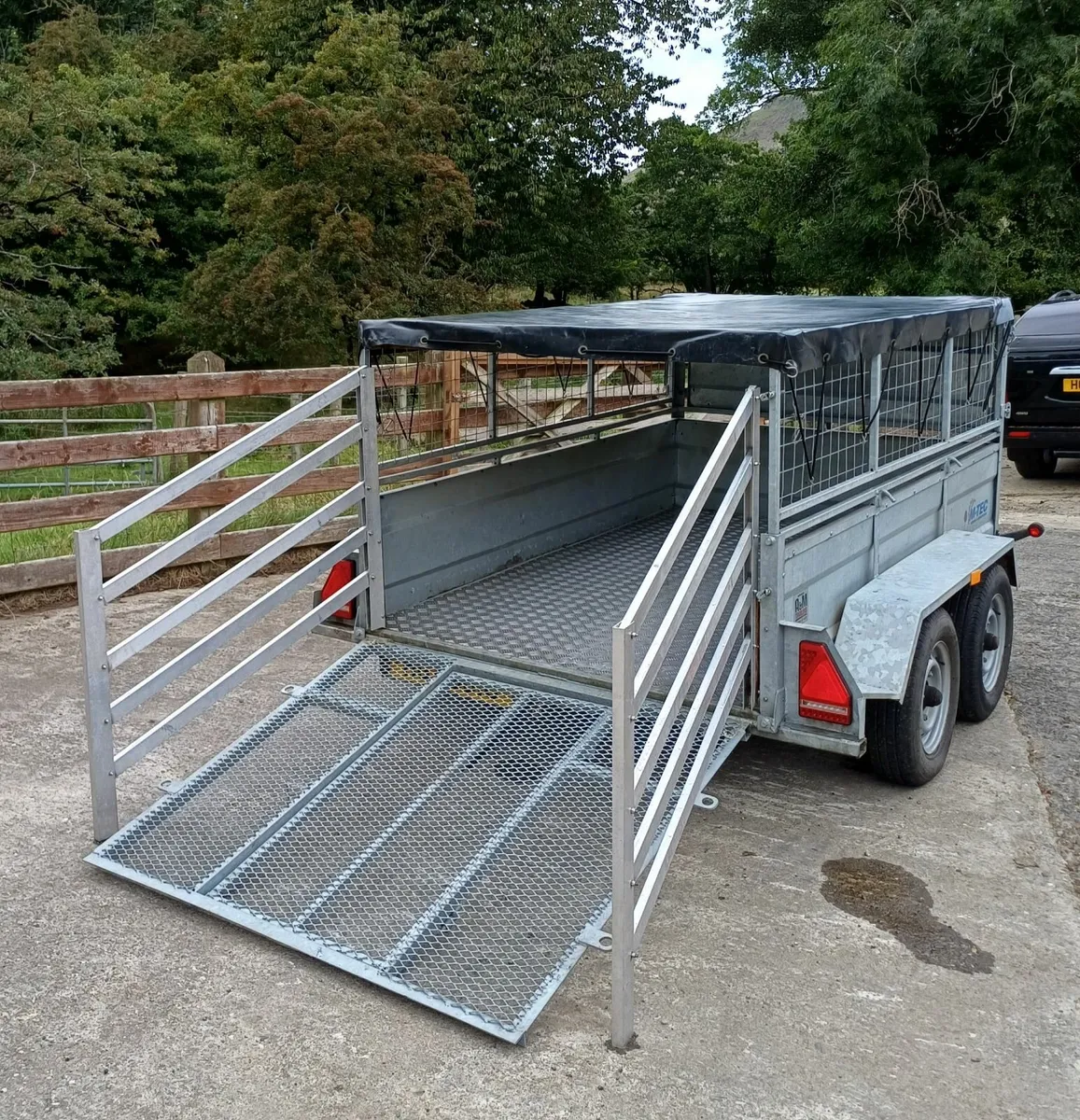 8x5 galvanized sheep trailer - Image 4