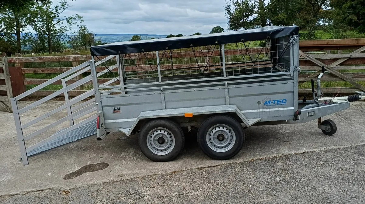 8x5 galvanized sheep trailer - Image 1