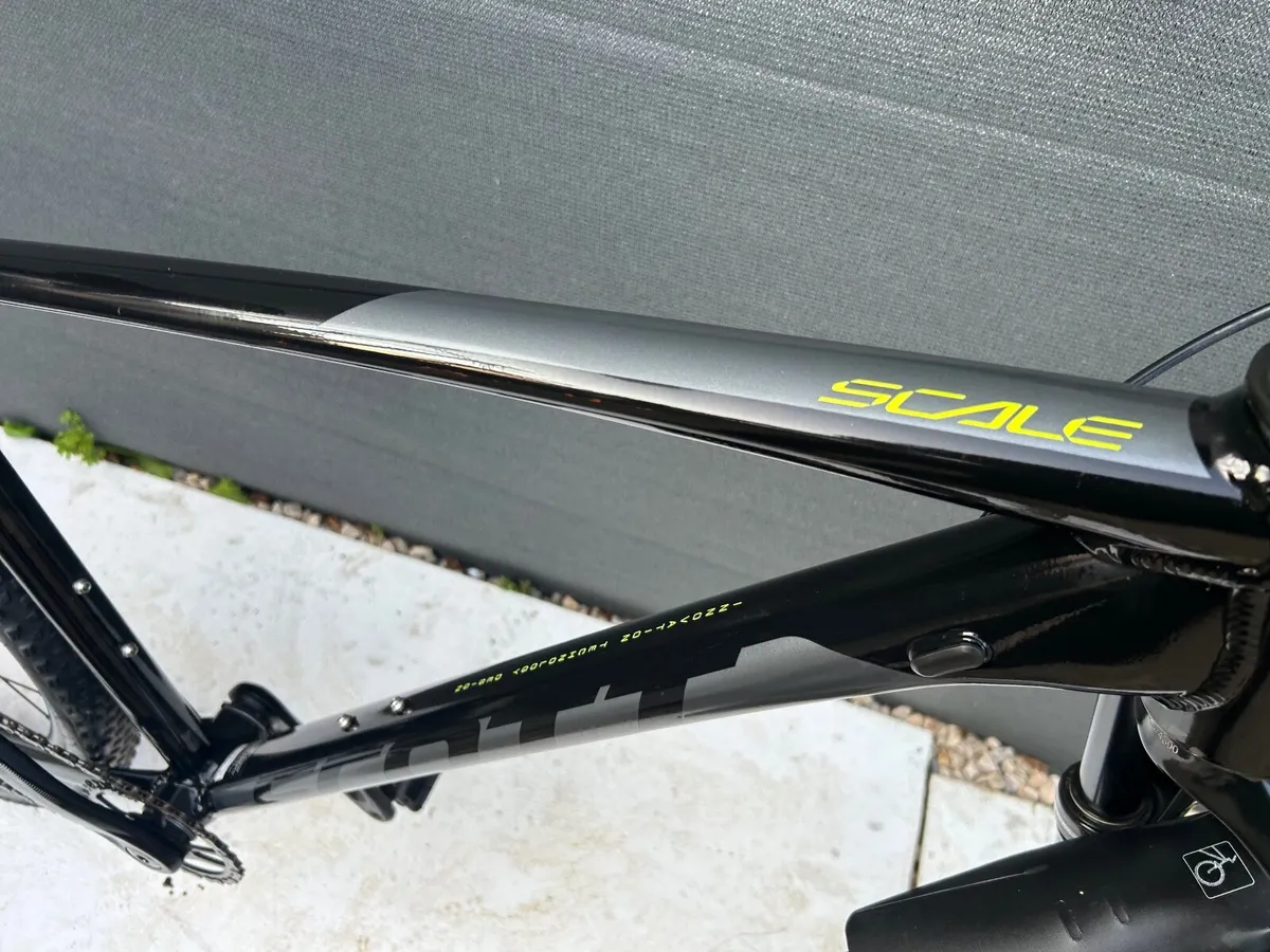 Scott  Scale ❗️Big frame ❗️ - Image 4