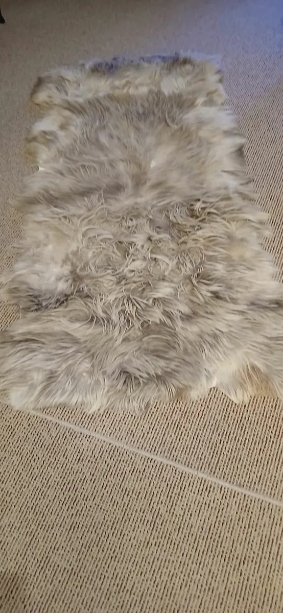 Rugs - Image 1