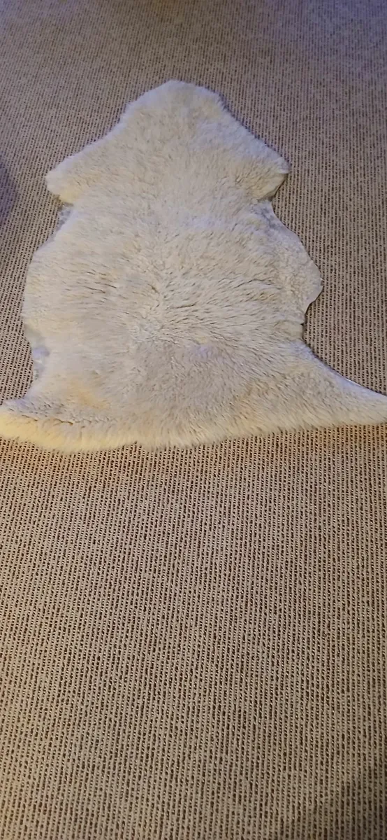 Rugs - Image 2