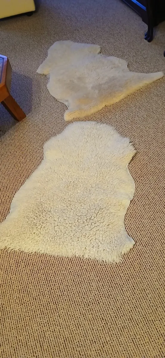 Rugs - Image 3
