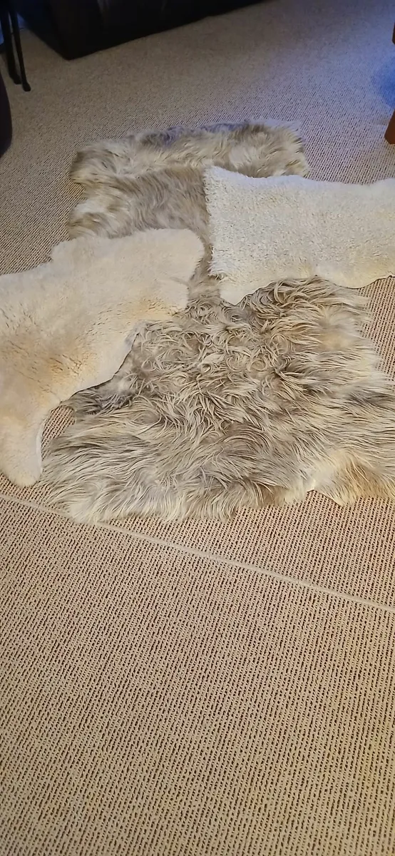 Rugs - Image 4