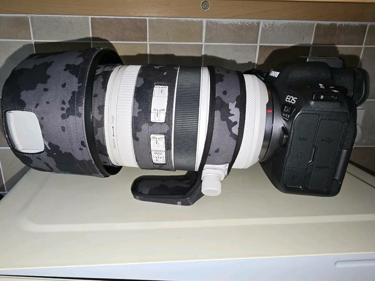 Rf 100 to 500 l lens - Image 3