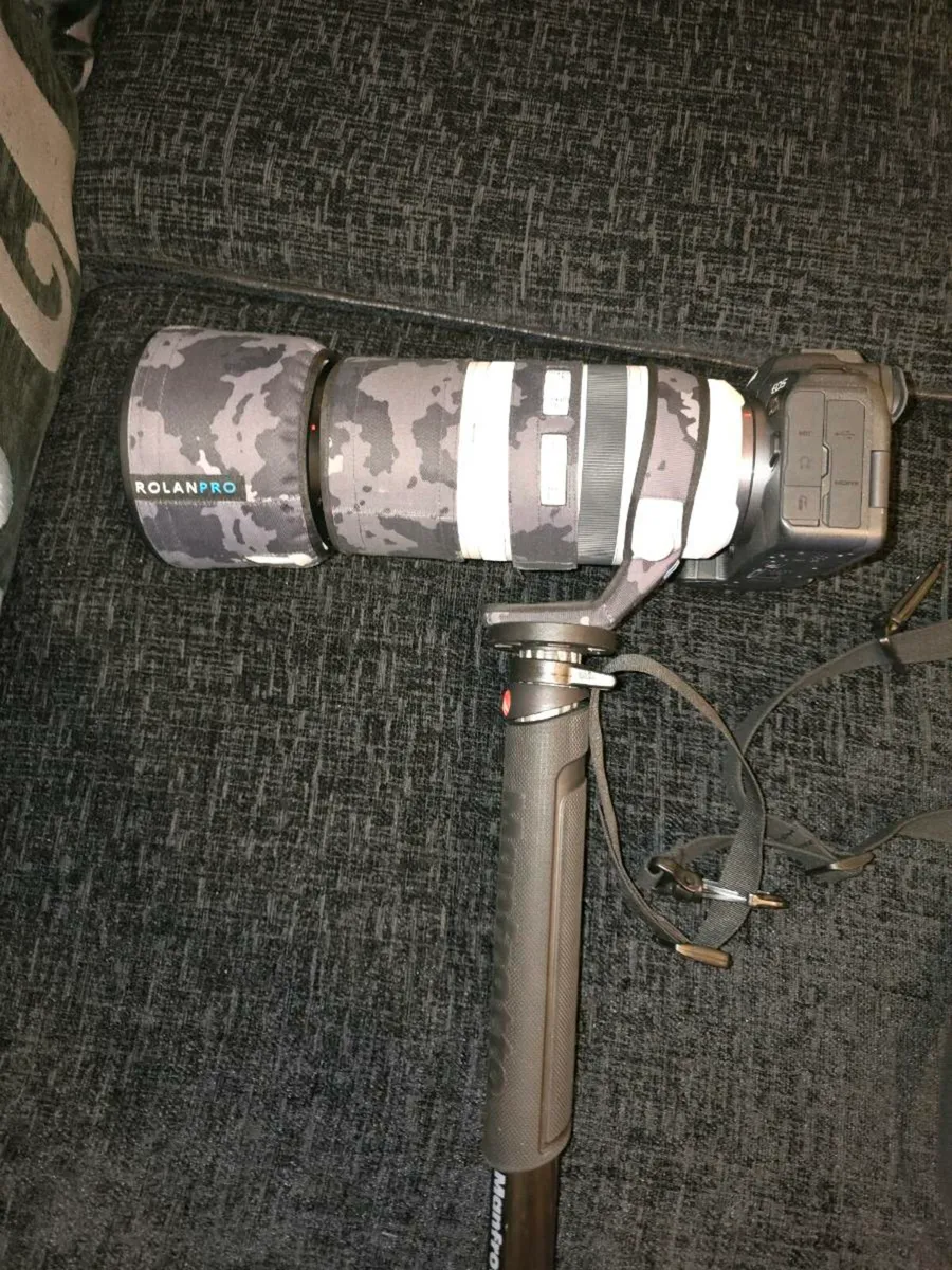 Rf 100 to 500 l lens - Image 4