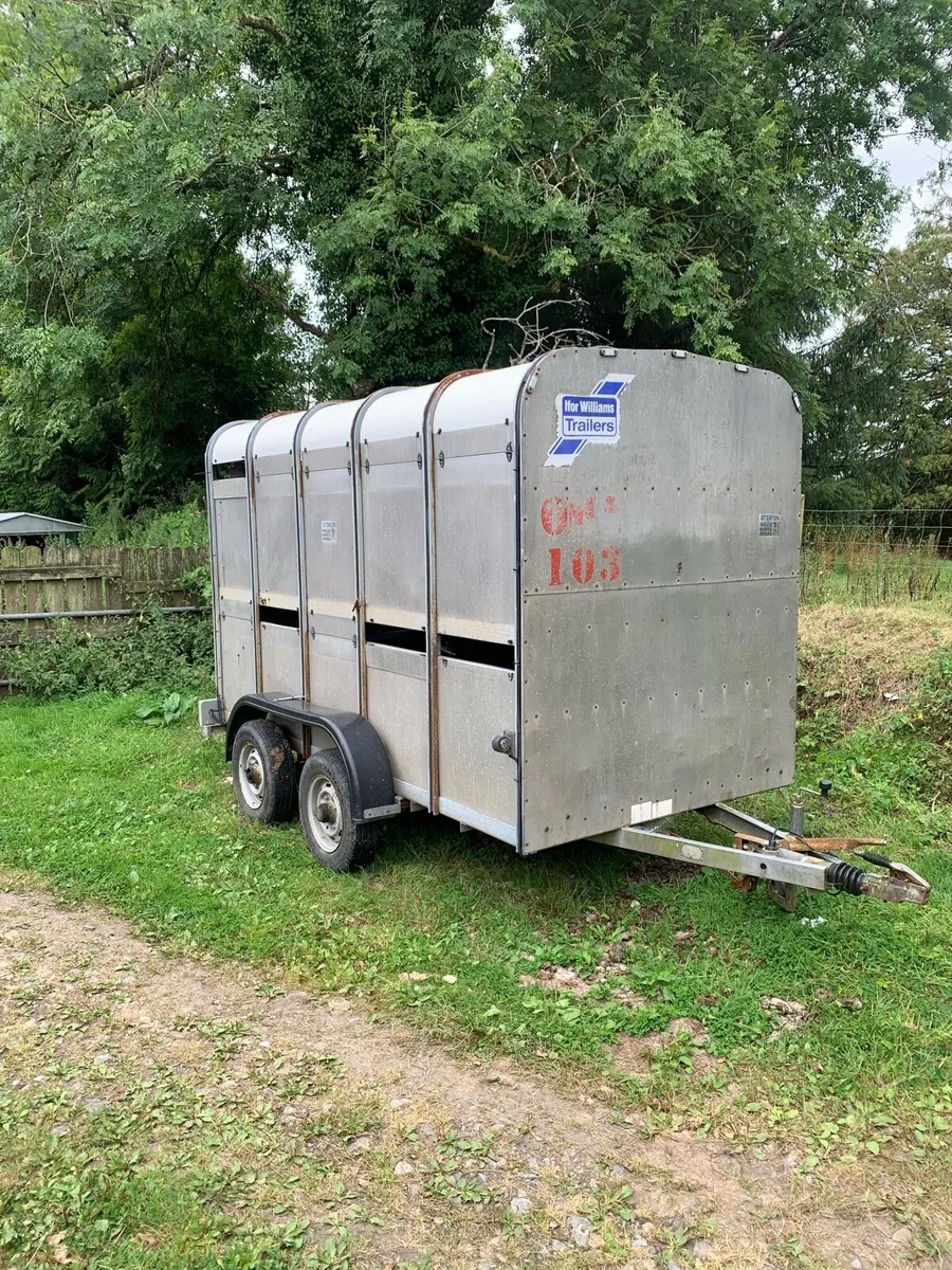 10x5 sheep trailer - Image 1