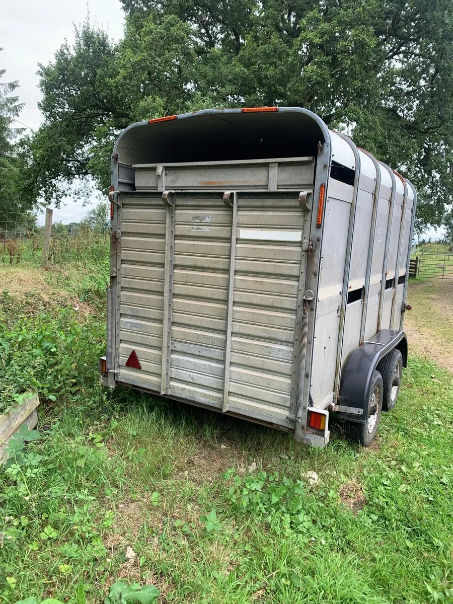 10x5 sheep trailer - Image 2