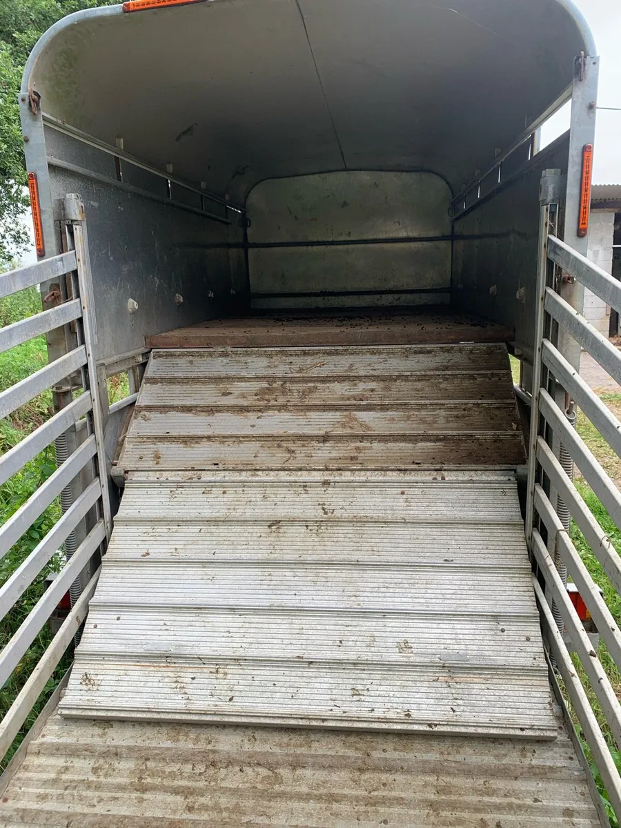 10x5 sheep trailer - Image 3