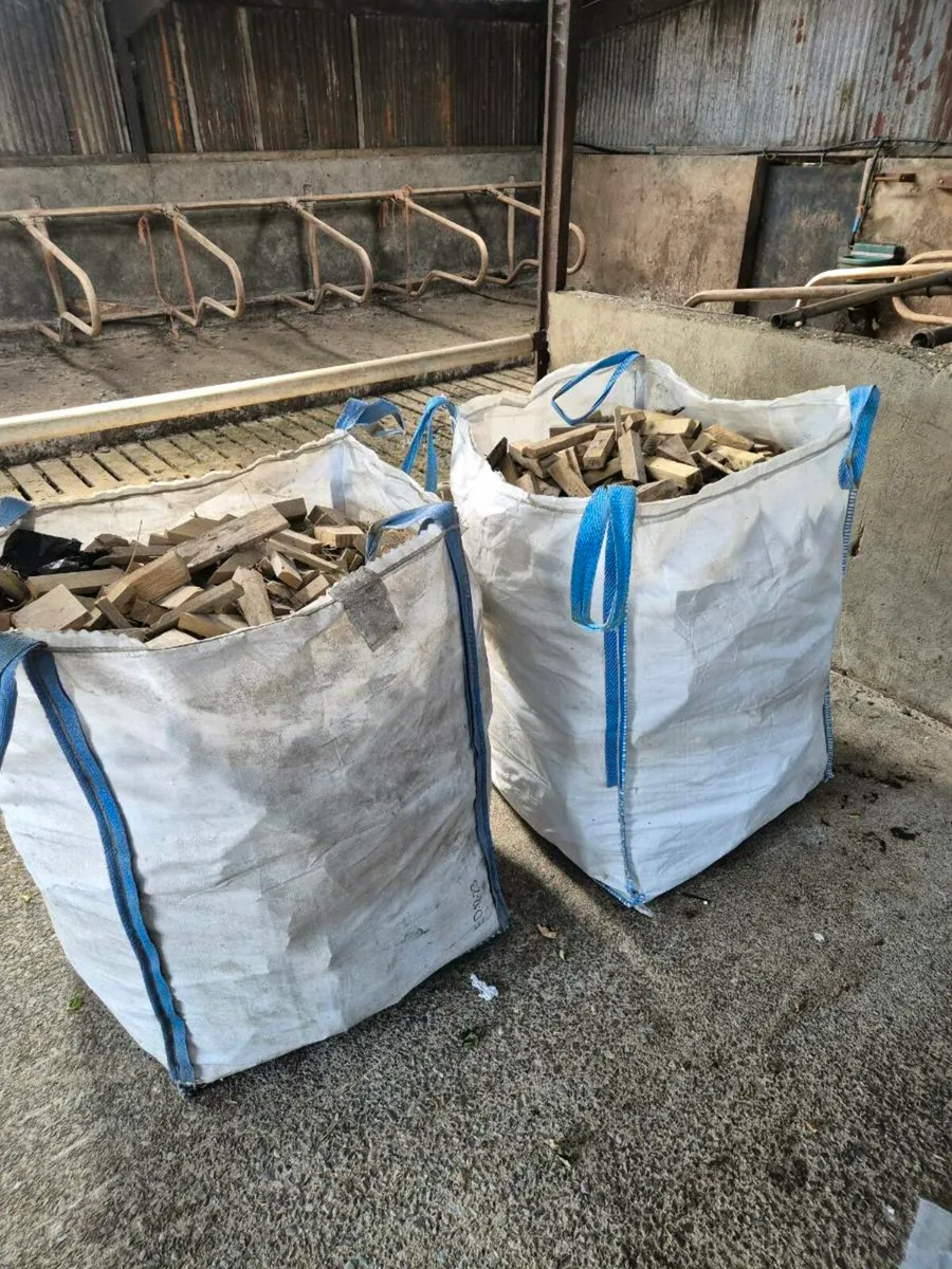 Firewood - Image 1