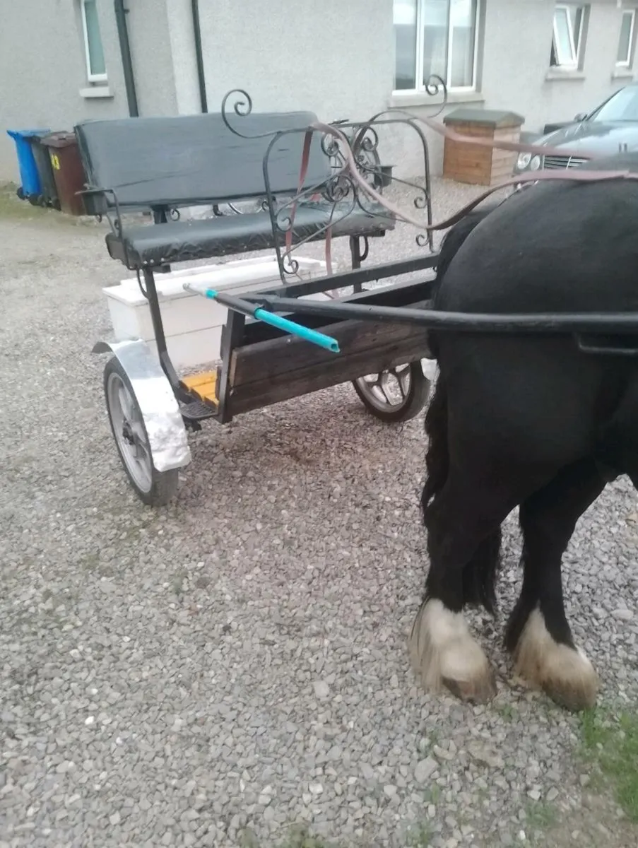 Pony's Road cart& Harness - Image 1