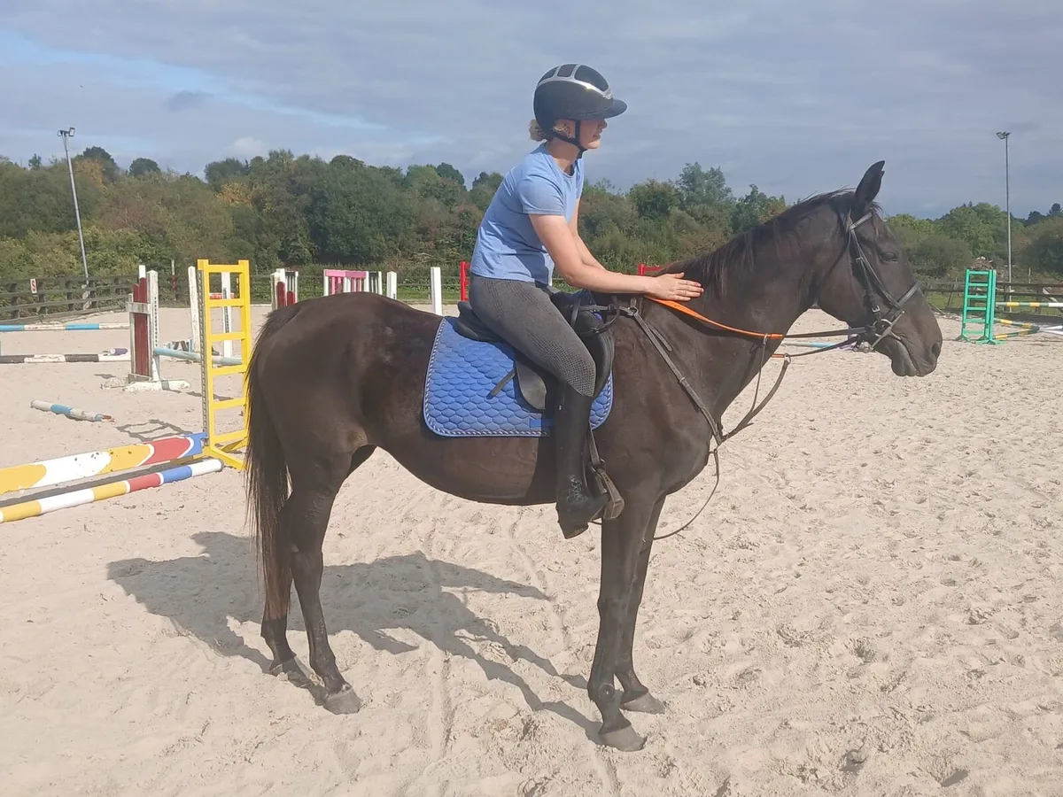 Safe and easy mare - Image 4