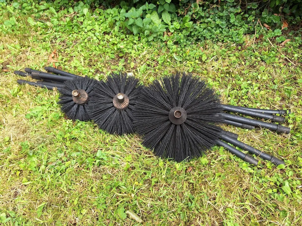 Shed Clearance - Image 4