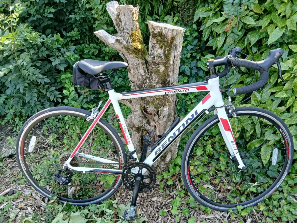 Bicycle - Image 1