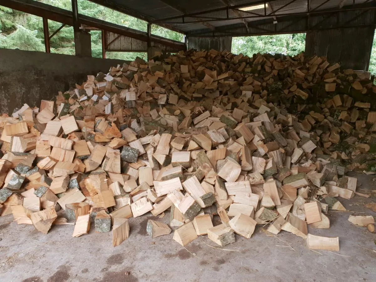 Firewood - Image 3