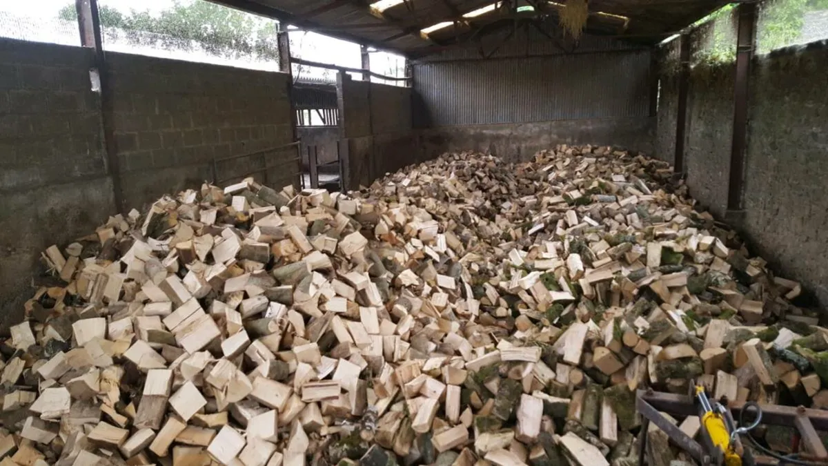 Firewood - Image 4
