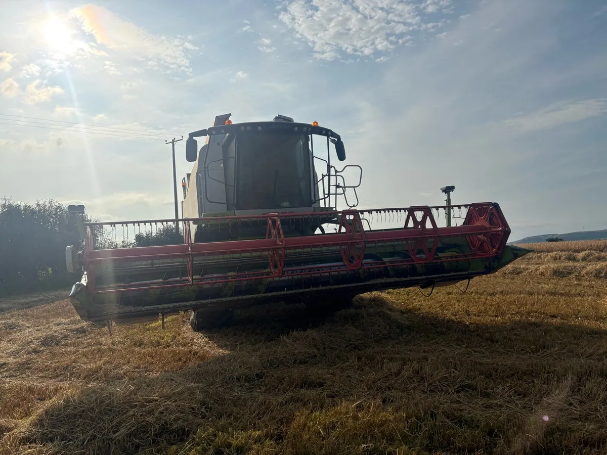Claas combine - Image 3