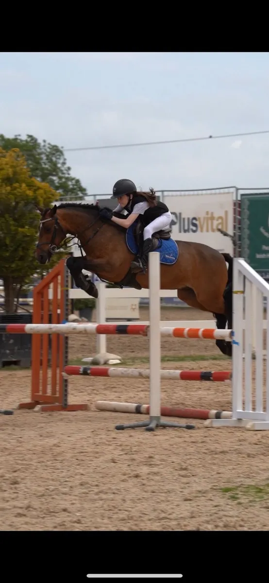 138 pony forsale - Image 4
