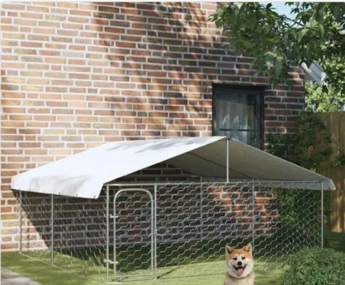 Dog Run - Image 1