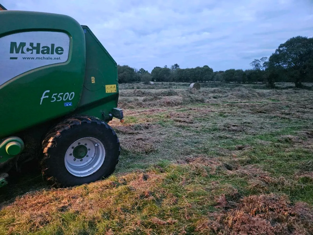 87 bales of rushes/grass - Image 2