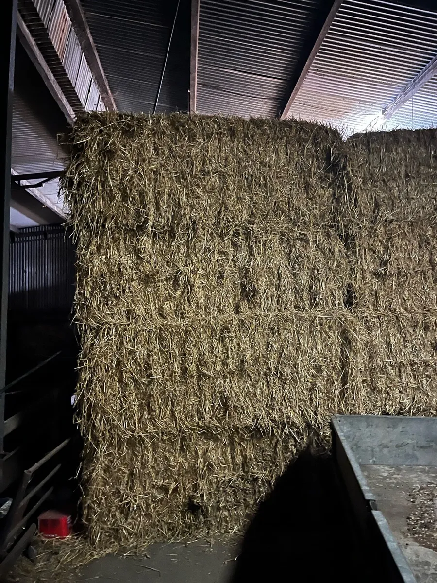 Straw - Image 1
