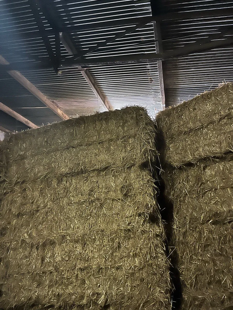 Straw - Image 2