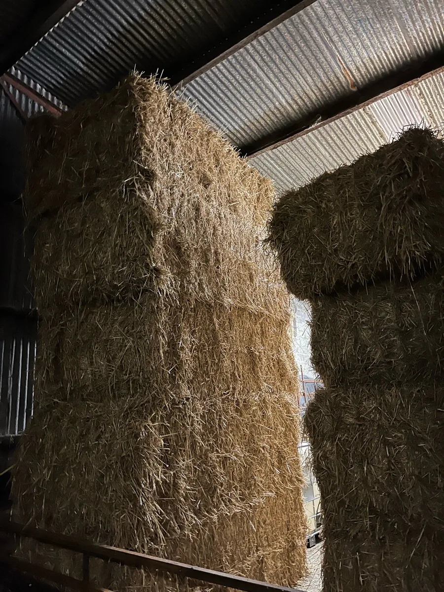 Straw - Image 3